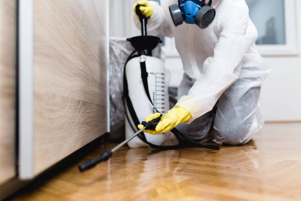 Best Pest Removal Services  in Park Falls, WI