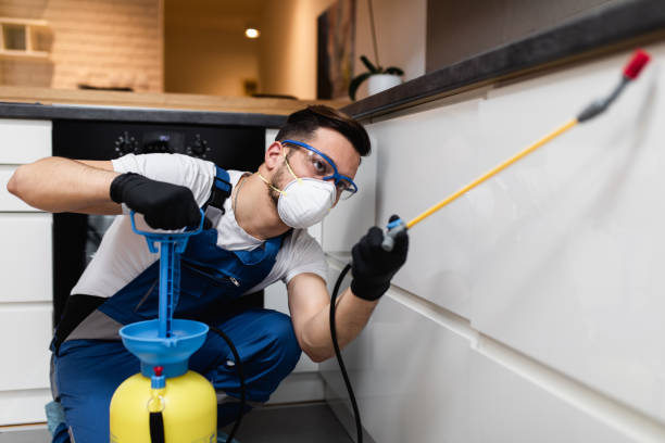 Flea Control Services in Park Falls, WI
