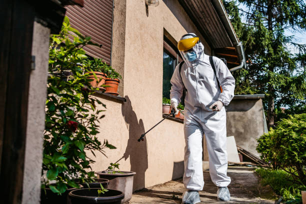 Best Pest Inspection Near Me  in Park Falls, WI