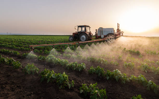 Pest Control Cost in Park Falls, WI