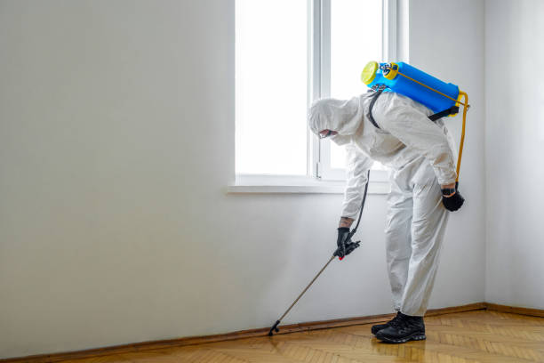 Wildlife Control Services in Park Falls, WI