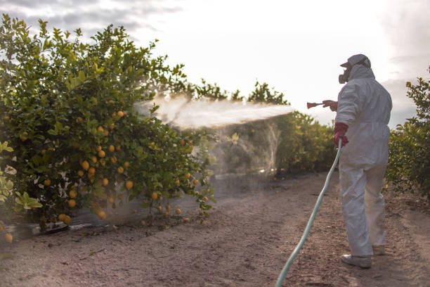 Best Mosquito Control Services  in Park Falls, WI