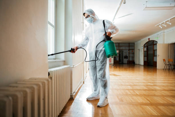 Best Bed Bug Extermination  in Park Falls, WI