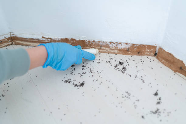 Best Exterminator Services  in Park Falls, WI